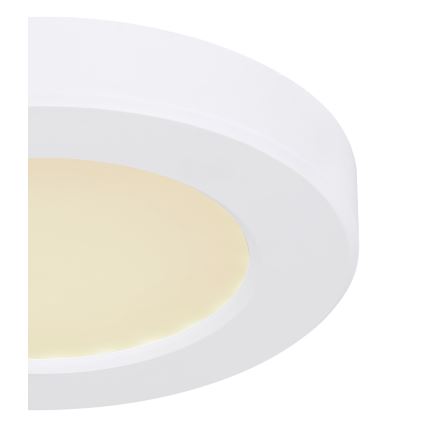 Globo - LED Плафониера LED/6W/230V 3000/4000/6500K бял