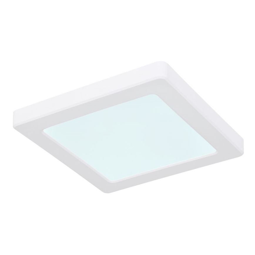 Globo - LED Плафон LED/12W/230V 3000/4000/6500K бял