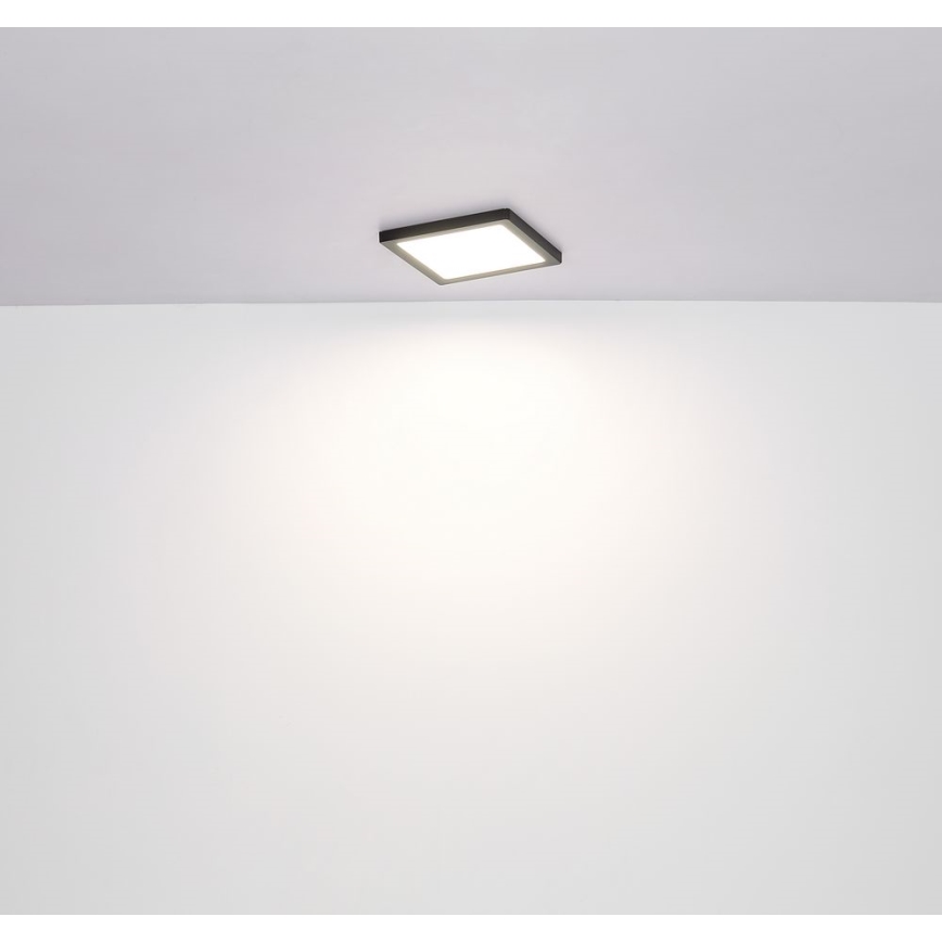 Globo - LED Плафон LED/24W/230V 3000/4000/6500K черен