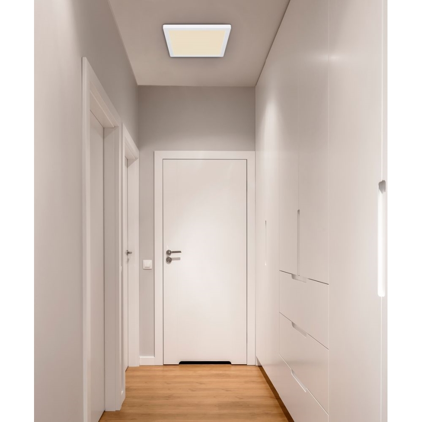 Globo - LED Плафон LED/24W/230V 3000/4000/6500K бял