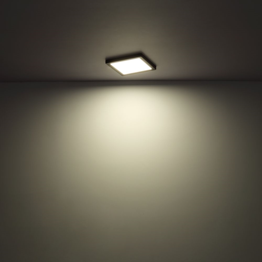 Globo - LED Плафон LED/24W/230V 3000/4000/6500K бял