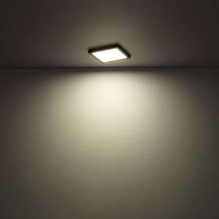 Globo - LED Плафон LED/24W/230V 3000/4000/6500K бял