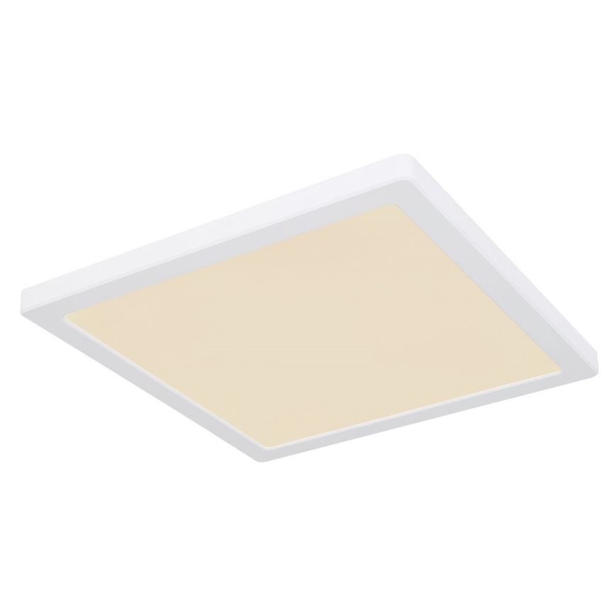 Globo - LED Плафон LED/24W/230V 3000/4000/6500K бял