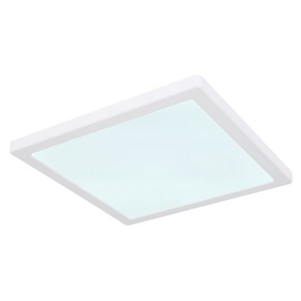 Globo - LED Плафон LED/24W/230V 3000/4000/6500K бял