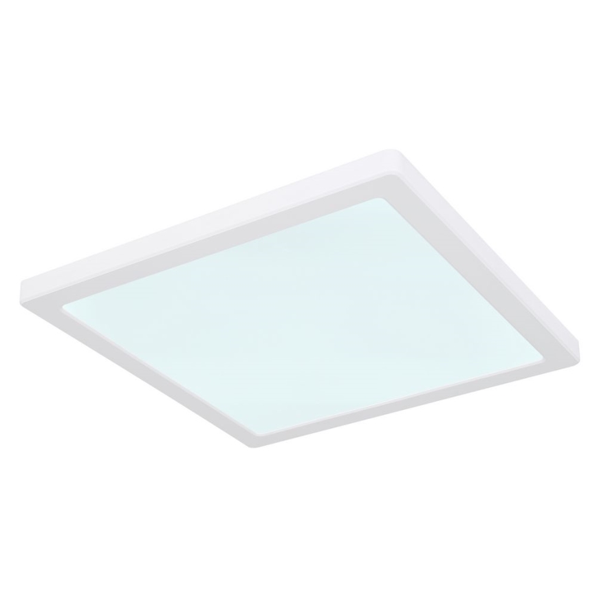 Globo - LED Плафон LED/24W/230V 3000/4000/6500K бял