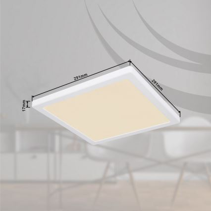 Globo - LED Плафон LED/24W/230V 3000/4000/6500K бял