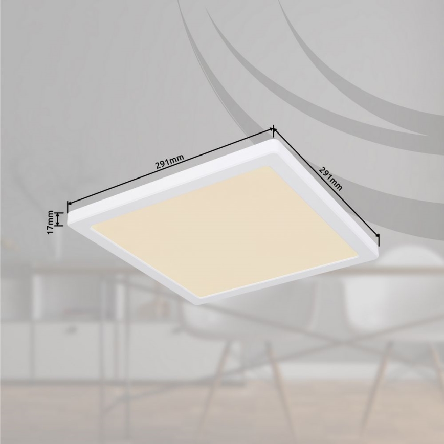 Globo - LED Плафон LED/24W/230V 3000/4000/6500K бял