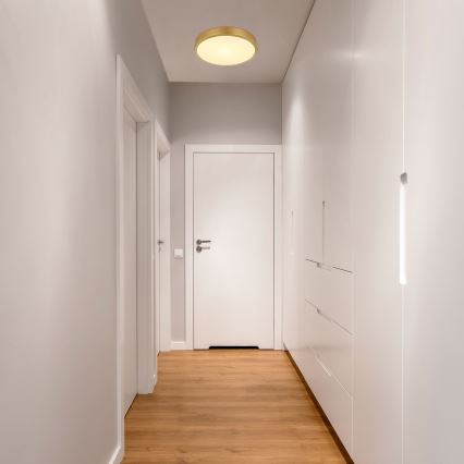 Globo - LED Плафониера LED/15W/230V Ø 25 см