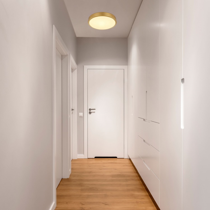 Globo - LED Плафониера LED/15W/230V Ø 25 см