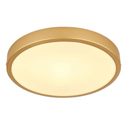 Globo - LED Плафониера LED/15W/230V Ø 25 см