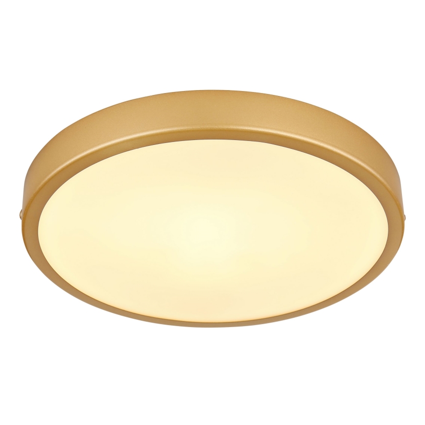 Globo - LED Плафониера LED/15W/230V Ø 25 см