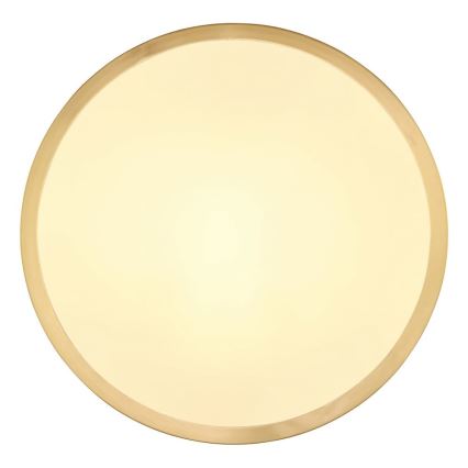 Globo - LED Плафониера LED/15W/230V Ø 25 см