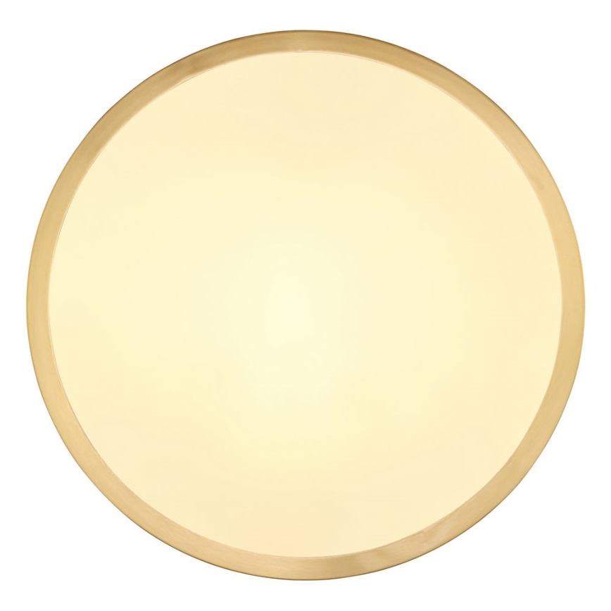 Globo - LED Плафониера LED/15W/230V Ø 25 см
