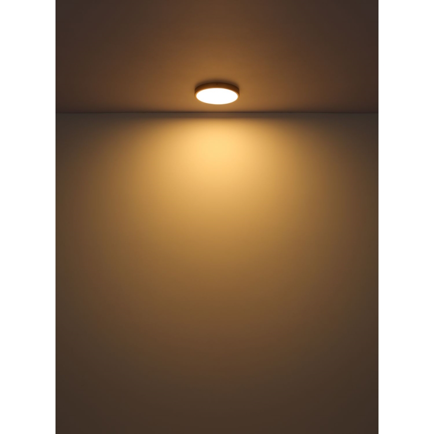 Globo - LED Плафониера LED/22W/230V Ø 35 см