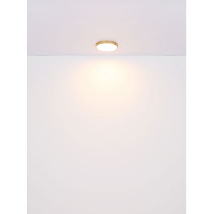Globo - LED Плафониера LED/22W/230V Ø 35 см