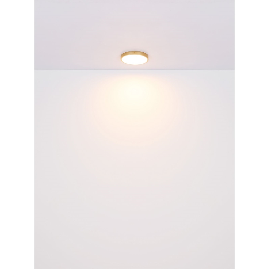 Globo - LED Плафониера LED/22W/230V Ø 35 см
