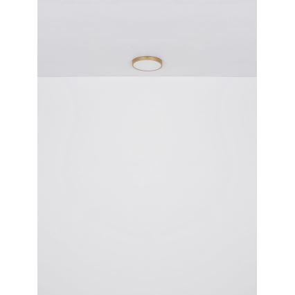 Globo - LED Плафониера LED/22W/230V Ø 35 см