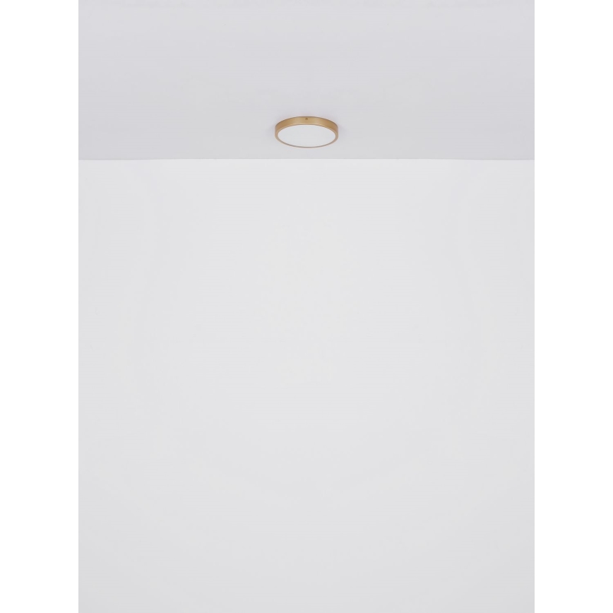 Globo - LED Плафониера LED/22W/230V Ø 35 см