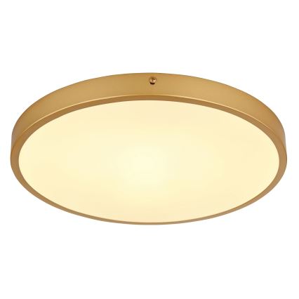 Globo - LED Плафониера LED/22W/230V Ø 35 см