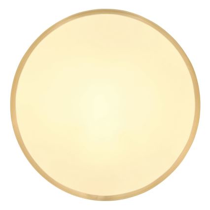 Globo - LED Плафониера LED/22W/230V Ø 35 см