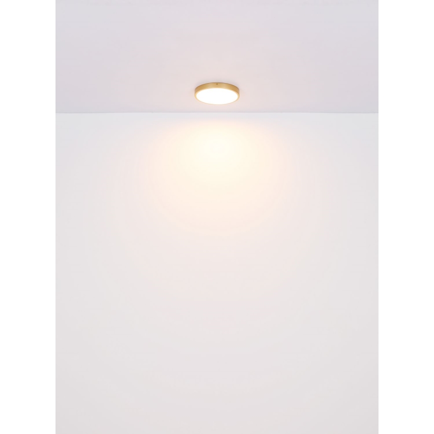 Globo - LED Плафониера LED/30W/230V Ø 45 см