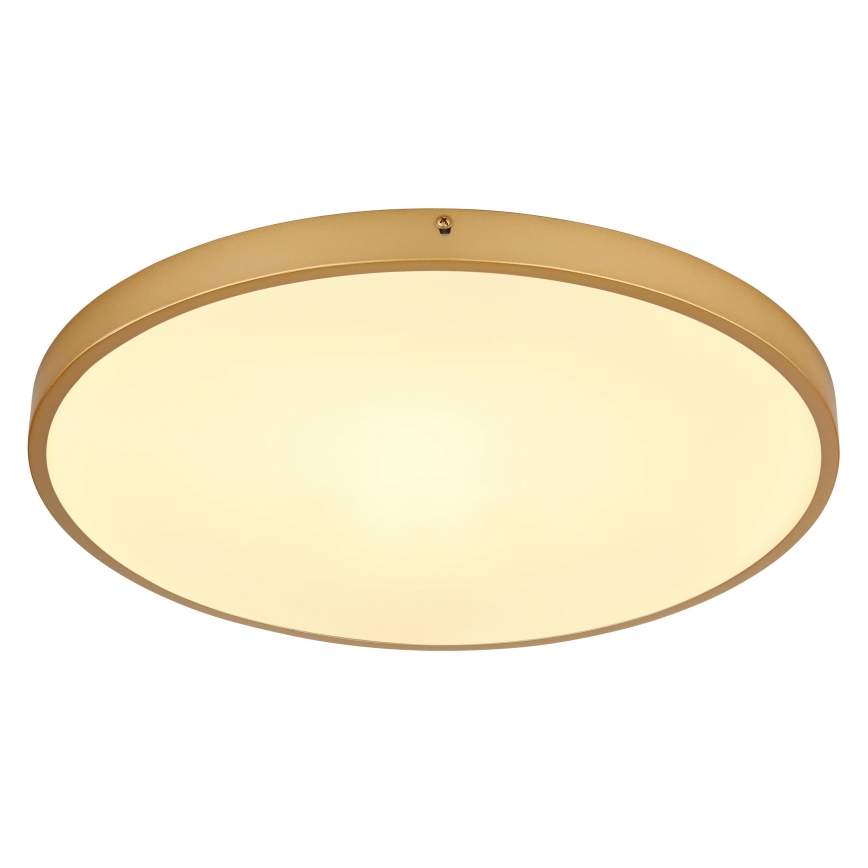 Globo - LED Плафониера LED/30W/230V Ø 45 см