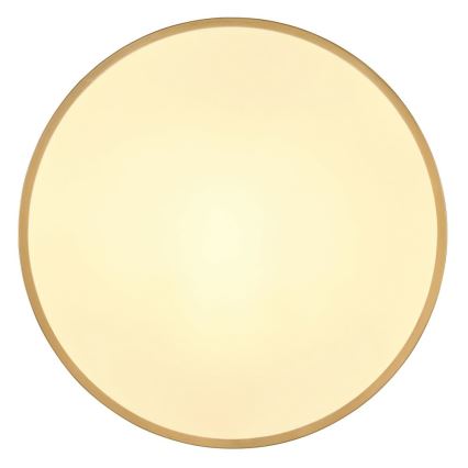 Globo - LED Плафониера LED/30W/230V Ø 45 см