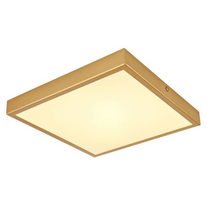 Globo - LED Плафониера LED/15W/230V 25x25 см