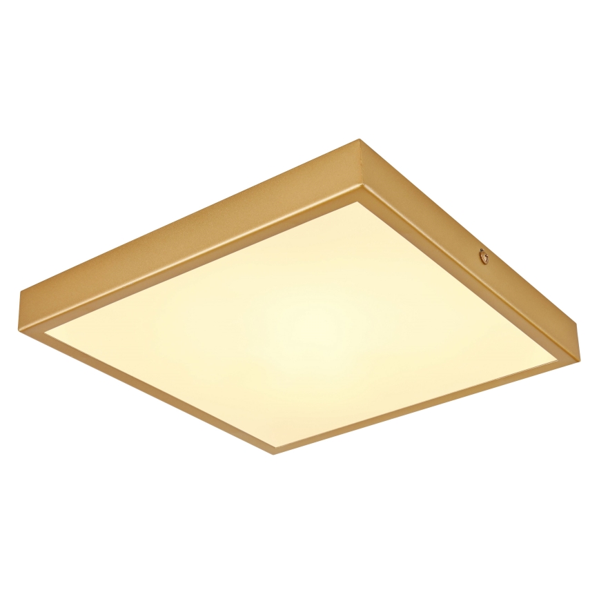 Globo - LED Плафониера LED/15W/230V 25x25 см