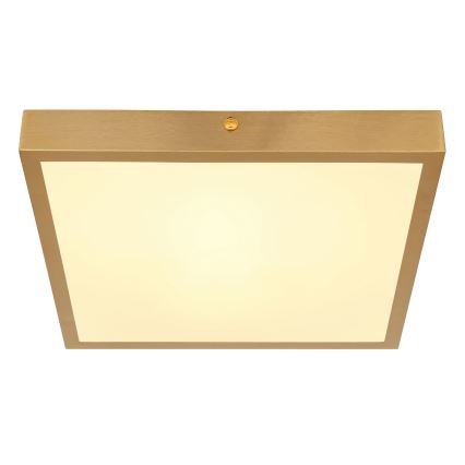 Globo - LED Плафониера LED/15W/230V 25x25 см