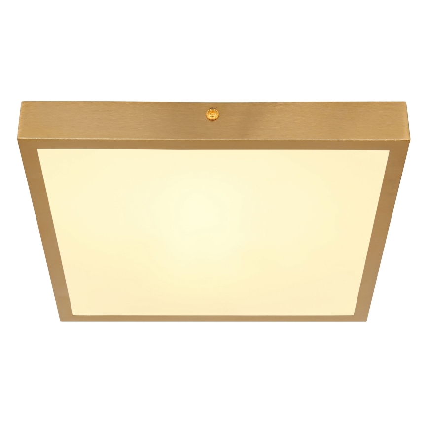 Globo - LED Плафониера LED/15W/230V 25x25 см