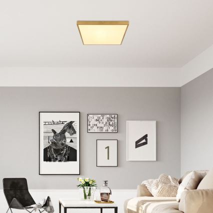 Globo - LED Плафониера LED/30W/230V 45x45 см