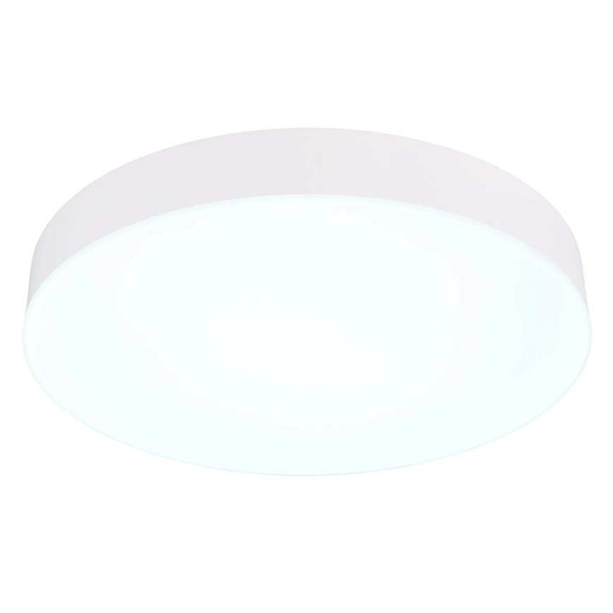Globo - LED Плафониера LED/24W/230V 3000K/4000K/6500K Ø 30 см бял