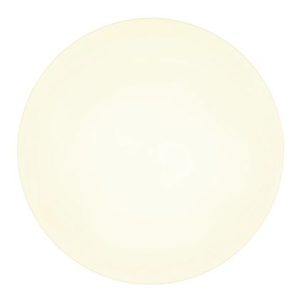 Globo - LED Плафониера LED/24W/230V 3000K/4000K/6500K Ø 30 см бял