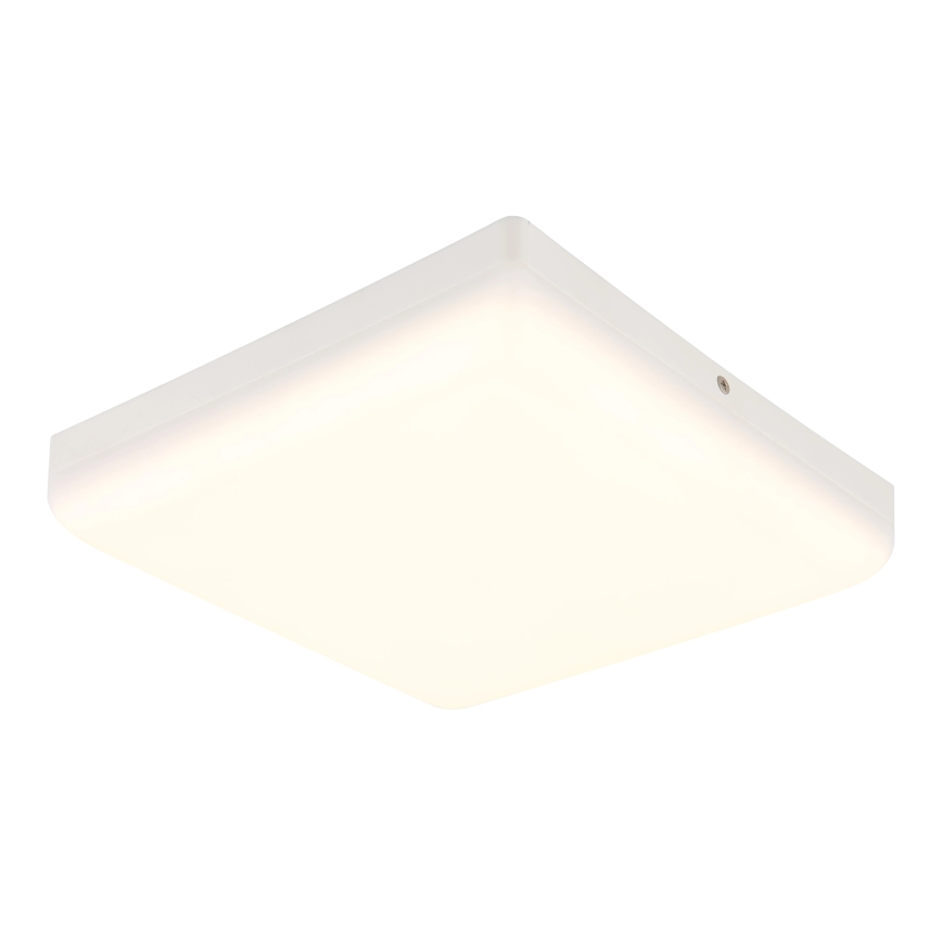 Globo - LED Плафониера LED/12W/230V 4000K 22x22 см  бял
