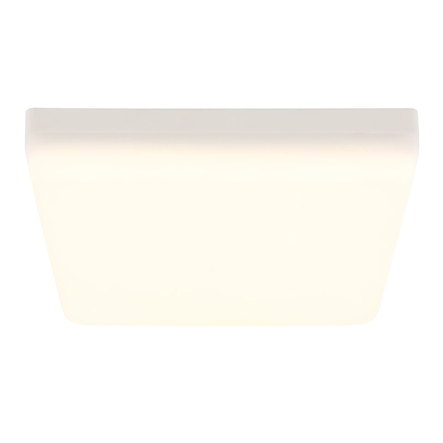 Globo - LED Плафониера LED/12W/230V 4000K 22x22 см  бял