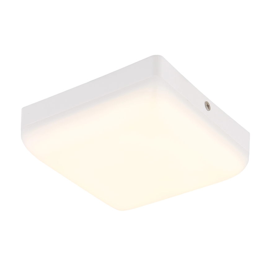 Globo - LED Плафониера LED/8W/230V 4000K 12x12 см бял