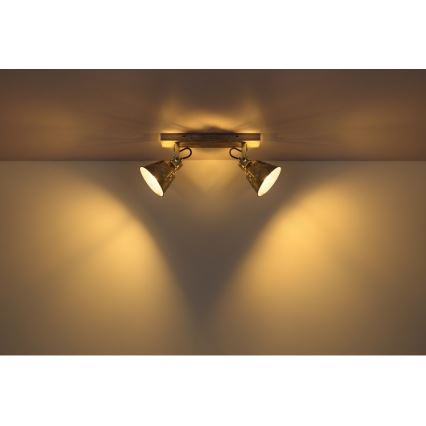 Globo - Спот 2xE27/60W/230V ела