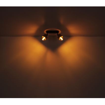 Globo - Спот 2xE27/40W/230V черен/месинг