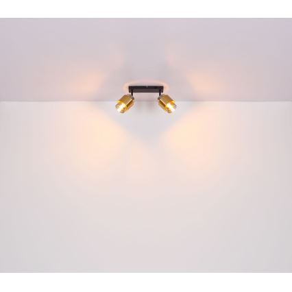 Globo - Спот 2xE27/40W/230V черен/месинг