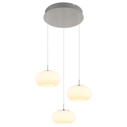 Globo - LED Пендел 3xLED/6W/230V