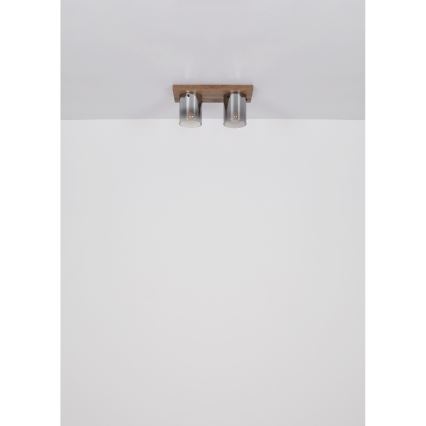 Globo - Таванно осветително тяло 2xE27/40W/230V 16x41 cm