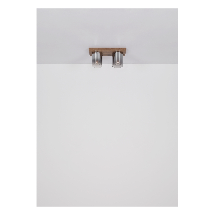 Globo - Таванно осветително тяло 2xE27/40W/230V 16x41 cm