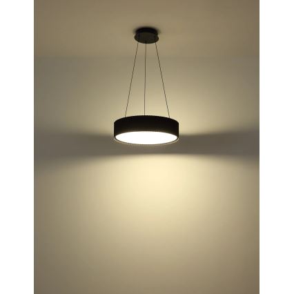 Globo - LED люстра на кабел LED/45W/230V 2700/4000/6000K Ø 46 см черна