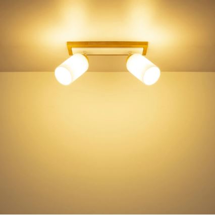 Globo - Точково осветително тяло 2xE27/60W/230V дъб/бял