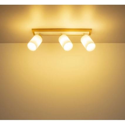 Globo - Точково осветително тяло 3xE27/60W/230V, дъб/бяло