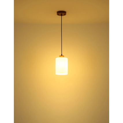 Globo - Полилей на кабел 1xE27/60W/230V дъб/бял