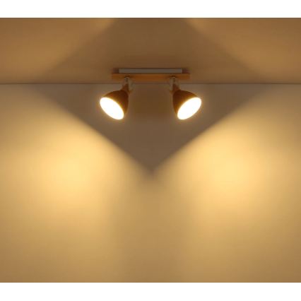 Globo - Точково осветително тяло 2xE14/40W/230V