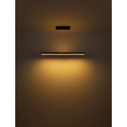 Globo - LED димируем сензорен полилей на кабел LED/24W/230V + LED/3W 3000K кафяв
