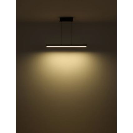 Globo - LED димируем сензорен полилей на кабел LED/39W/230V 2700/4000/6000K сив
